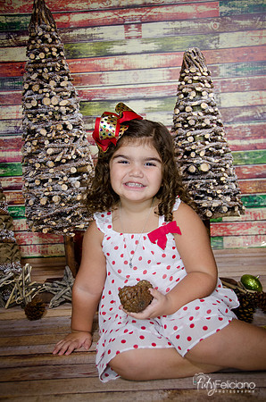 Navidad 2014-1084
