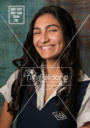 Adianez 4-2648