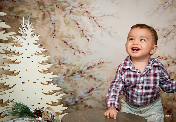 2 Navidad-9251