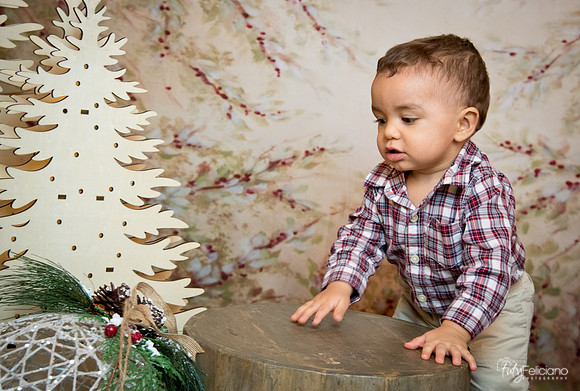 2 Navidad-9260
