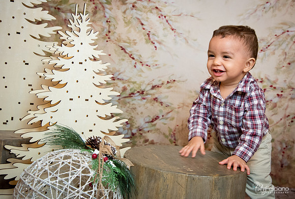 2 Navidad-9263