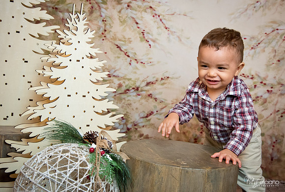 2 Navidad-9265