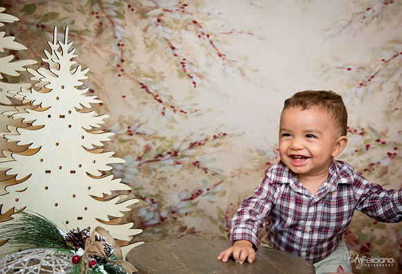 2 Navidad-9255