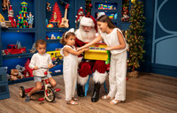 4 SME-2207
