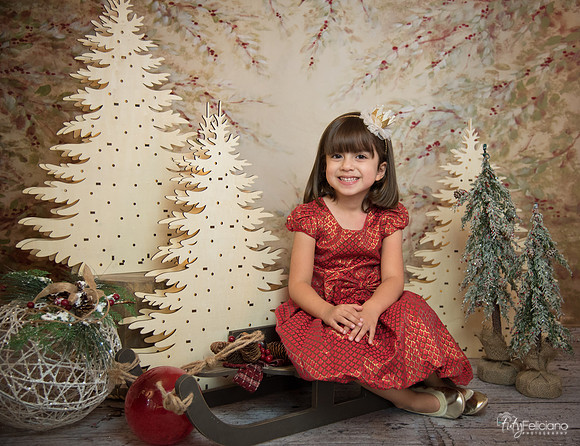 Navidad-6143