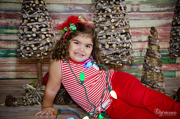 Navidad 2014-1606