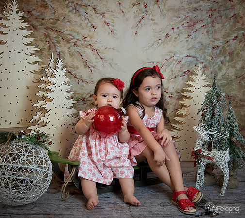 2 Navidad-5220