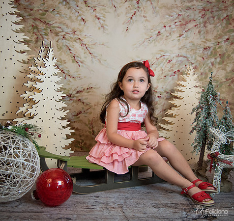 2 Navidad-5282