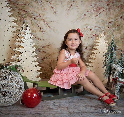 2 Navidad-5307