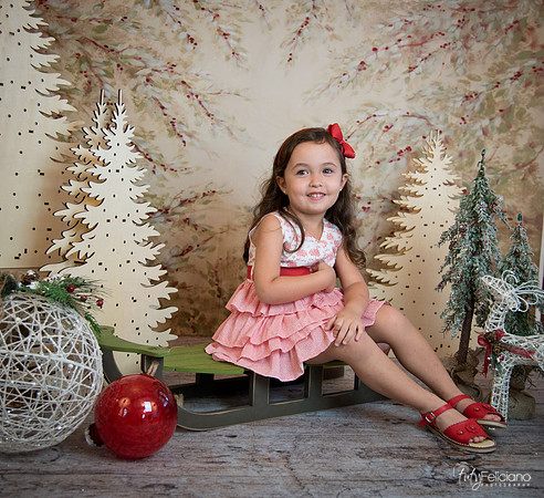 2 Navidad-5311