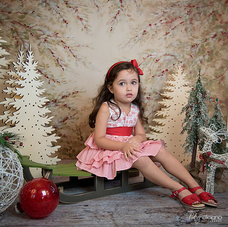 2 Navidad-5262