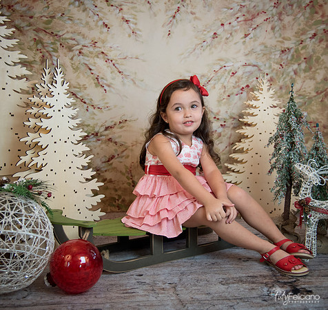 2 Navidad-5296