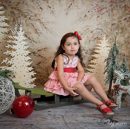 2 Navidad-5270