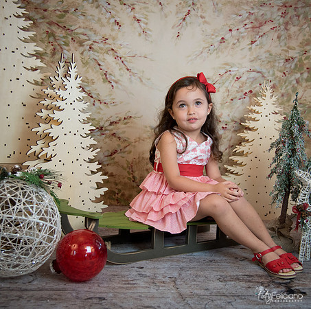 2 Navidad-5276