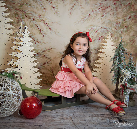 2 Navidad-5292