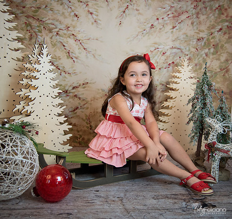 2 Navidad-5293