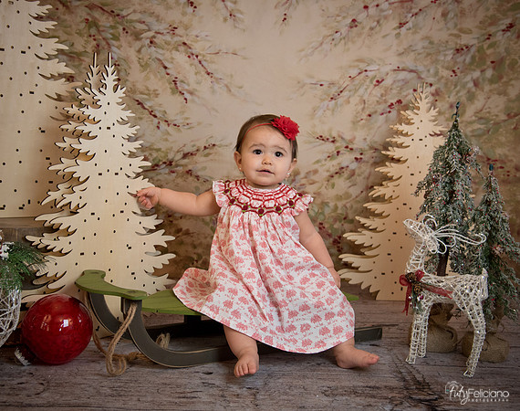 2 Navidad-5195