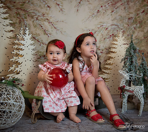 2 Navidad-5226