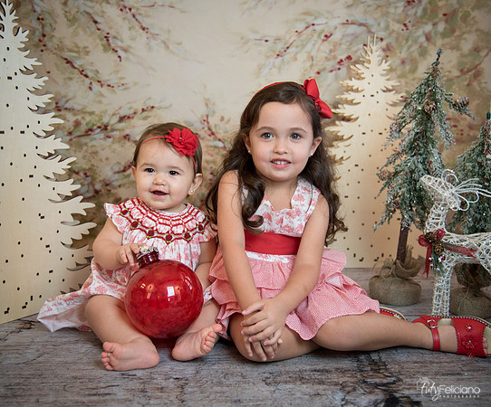 2 Navidad-5399