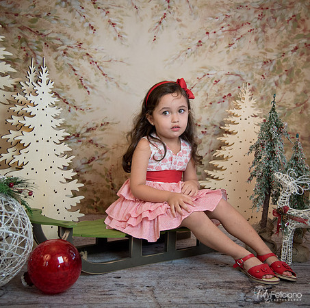 2 Navidad-5260