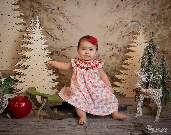 2 Navidad-5196