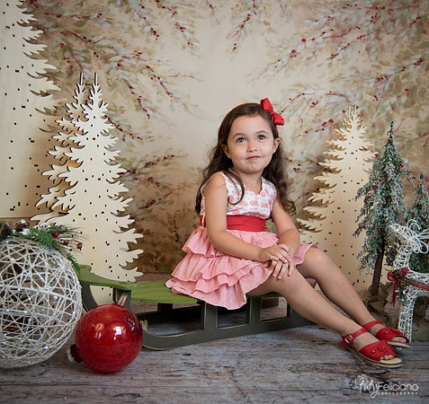 2 Navidad-5306