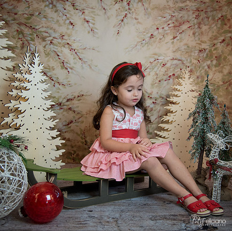2 Navidad-5256
