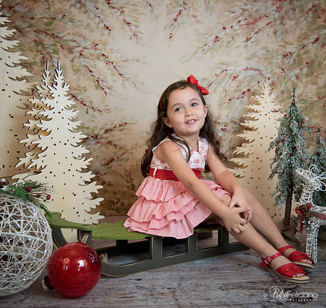 2 Navidad-5297