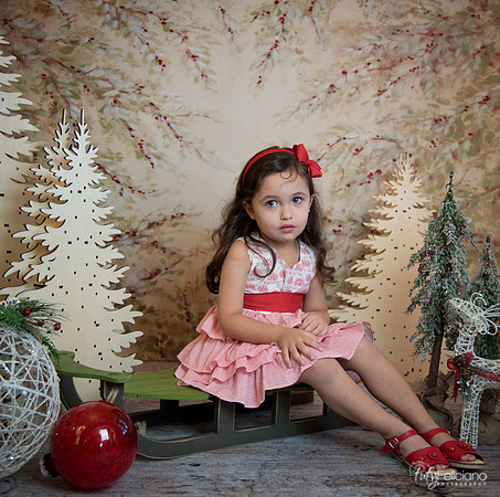 2 Navidad-5259