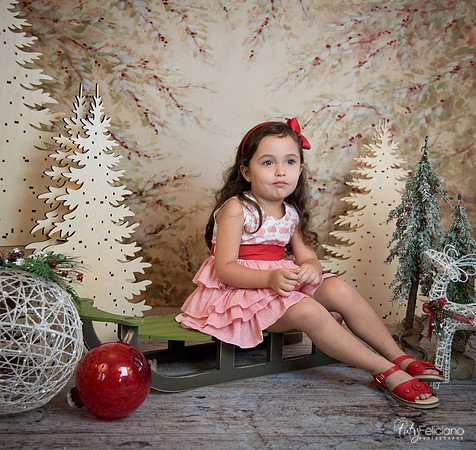 2 Navidad-5286