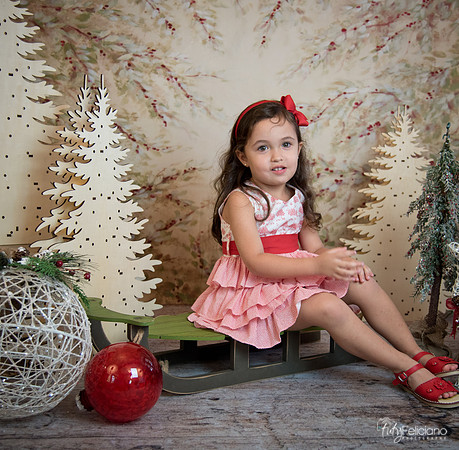 2 Navidad-5278