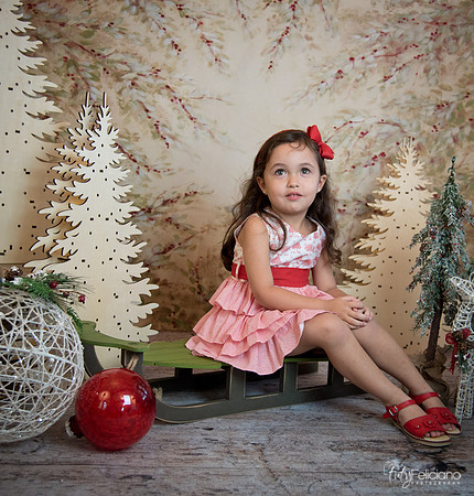 2 Navidad-5275