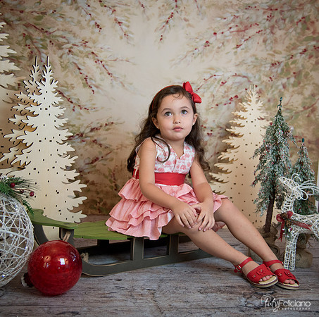2 Navidad-5266