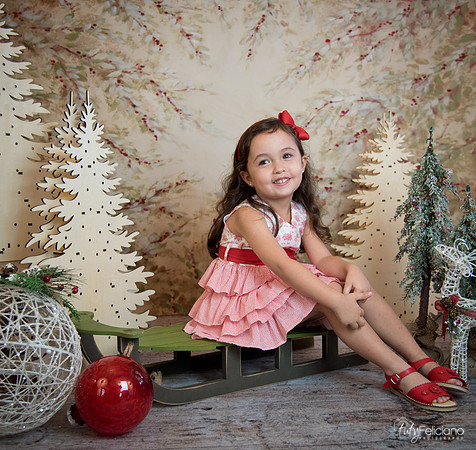 2 Navidad-5298