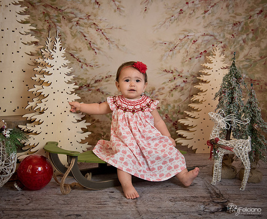 2 Navidad-5203