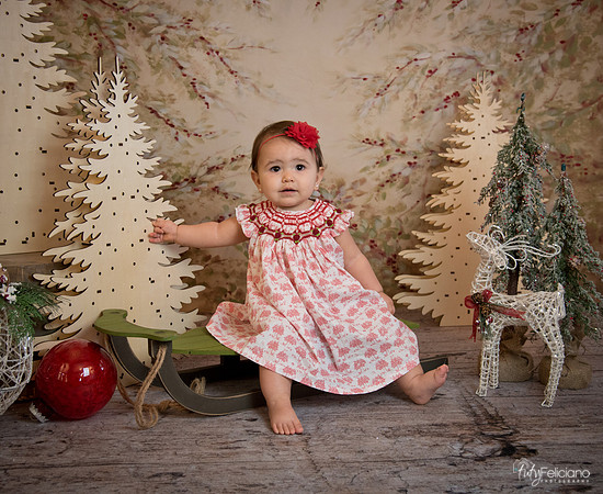 2 Navidad-5201
