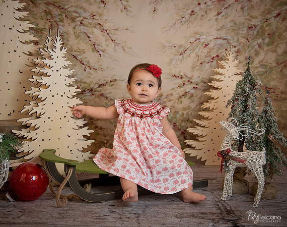 2 Navidad-5197