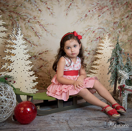 2 Navidad-5265