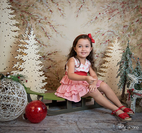 2 Navidad-5308