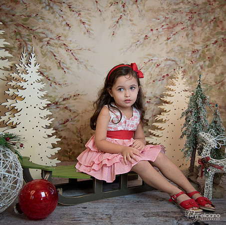 2 Navidad-5257