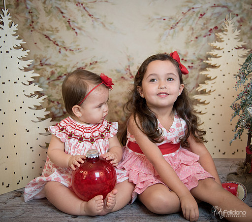 2 Navidad-5329