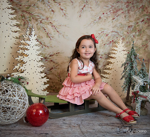 2 Navidad-5310