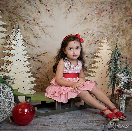 2 Navidad-5258