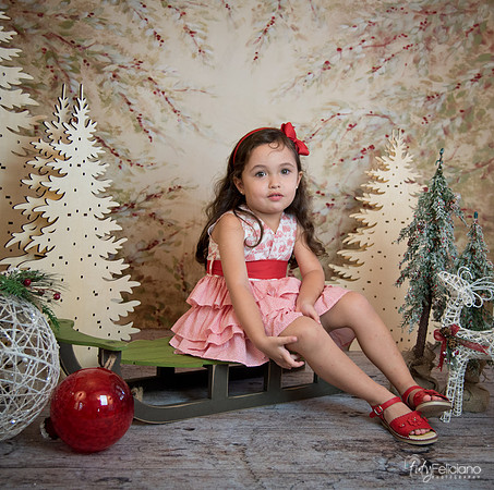 2 Navidad-5268