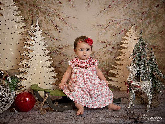 2 Navidad-5191