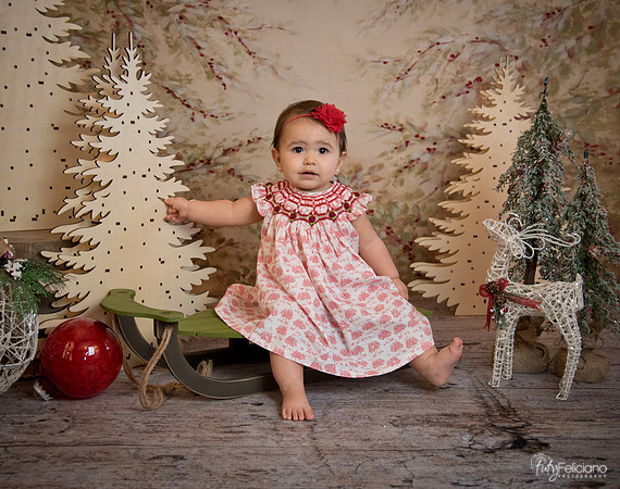 2 Navidad-5200