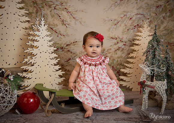 2 Navidad-5188