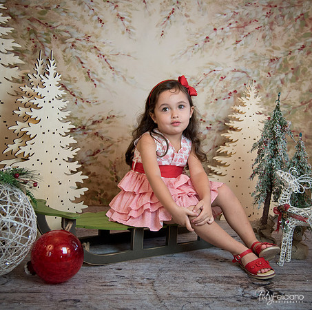 2 Navidad-5267