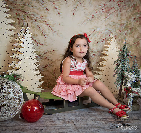 2 Navidad-5288