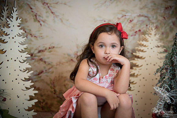 2 Navidad-5248